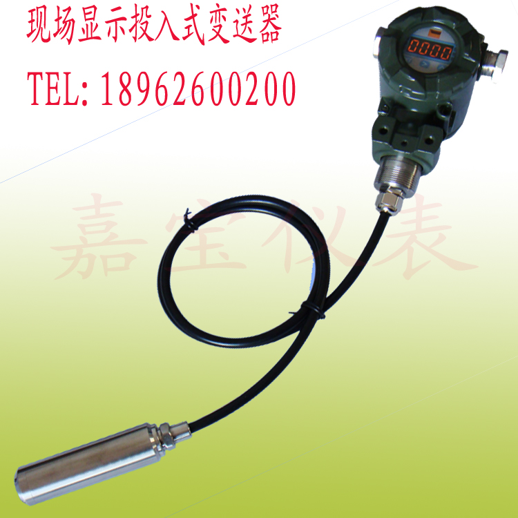 現(xiàn)場顯示分體投入式液位變送器/液位變送器
